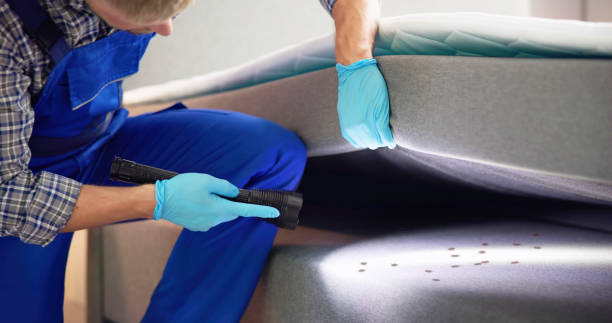 Best Emergency Pest Control  in Viroqua, WI