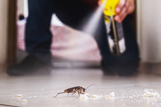Best Mosquito Control Services  in Viroqua, WI