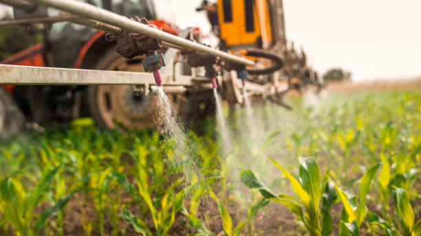 Best Pest Prevention Services  in Viroqua, WI