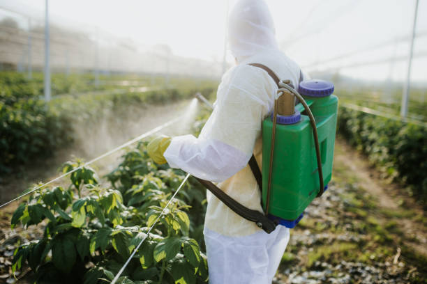 Best Wasp Removal Services  in Viroqua, WI